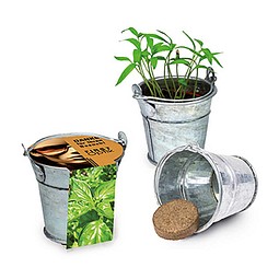 Pflanzeimerchen mit Samen, Basilikum, 1-seit. Druck