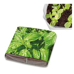 PopUp Anzuchterde mit Samen, Basilikum, 1-seit. Druck