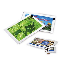 Samen-Briefchen, Basilikum, 2-seit. Druck