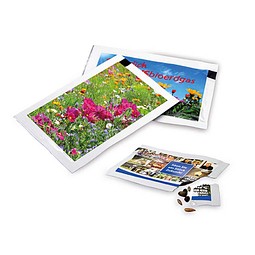 Samen-Briefchen, Sommerblumenmischung, 2-seit. Druck