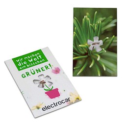 Samen-Karte-Mini Blume, Fichte, 2-seit. Druck