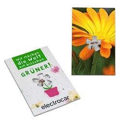 Samen-Karte-Mini Blume, Ringelblume, 2-seit. Druck