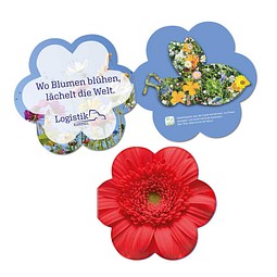 Samenpapier in Klappkärtchen Blume, Bienchen, 2-seit. Druck