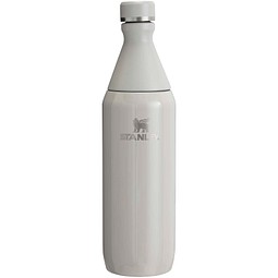 Stanley 600 ml All Day Slim Flasche, grau