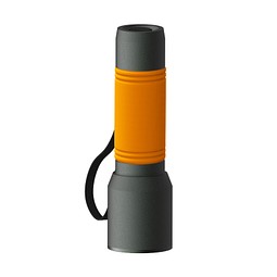 Taschenlampe REEVES-myFLASH 300, anthrazit/orange
