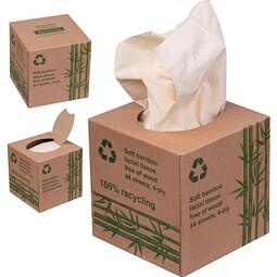 Taschentuchbox CONCEPCION, beige