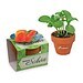 Tontöpfchen-Blume inkl. Samen - Gewürzpaprika, inkl. Druck, individuell