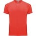 Fluor Coral