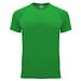 Green Fern