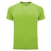 Lime / Green Lime