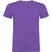 Irisches Violett