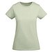Mist Green