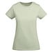 Mist Green