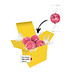 Color Lindor Box - Gelb - Erdbeer-Sahne