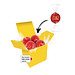 Color Lindor Box - Gelb - Vollmilch