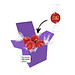 Color Lindor Box - Lila - Vollmilch