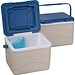 CrisMa Kühlbox mit Kühlakku ARIANNA, beige