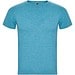 Heather Turquoise