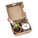 Geschenk-Set Xmas, V3, 1-seit. Druck