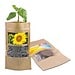 Grünes aus der Tüte mit Samen, Sonnenblume, 1-seit. Druck