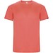 Fluor Coral