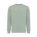 Iceberg green