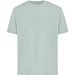 Iceberg green