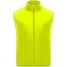 Fluor Yellow