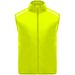 Fluor Yellow