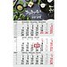 Geiger-Notes Monatskalender Budget 3 Bestseller, inkl. Druck, hellgrau