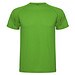 Green Fern