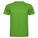 Green Fern