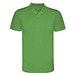 Green Fern