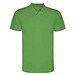 Green Fern