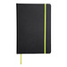 Notizbuch LECTOR im DIN-A5-Format,hellgrün, schwarz