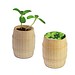 Pflanz-Fässchen mit Samen, Basilikum, 1-seit. Druck
