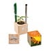 Pflanz-Holz Büro mit Samen, Ringelblume, 1-seit. Druck