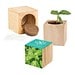 Pflanz-Holz Maxi mit Samen, Basilikum, 1-seit. Druck