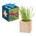 Pflanz-Holz Maxi Star-Box mit Samen, Sommerblumenmischung, 1-seit. Druck