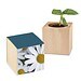 Pflanz-Holz mit Samen, Margerite, 1-seit. Druck