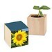 Pflanz-Holz mit Samen, Ostern, Sonnenblume, 1-seit. Druck
