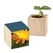 Pflanz-Holz mit Samen, Ringelblume, 1-seit. Druck