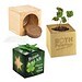 Pflanz-Holz Star-Box mit Samen, Glücksklee