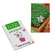 Samen-Karte-Mini Blume, Gartenkresse, 2-seit. Druck