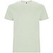 Mist Green