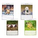 Bild-Wandkalender Tierkinder 2027