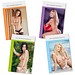 Bildkalender Pin-up Girls, 2026