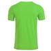 JAMES & NICHOLSON Herren T-Shirt Basic aus Bio-Baumwolle, hellgrün, XL