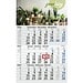 Geiger-Notes Monatskalender Budget 3 green+blue, inkl. Druck, blau