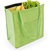 ROTTERDAM. Kühltasche aus Vliesstoff (80 g/m²), Hellgrün